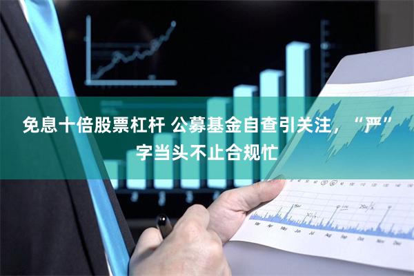 免息十倍股票杠杆 公募基金自查引关注，“严”字当头不止合规忙